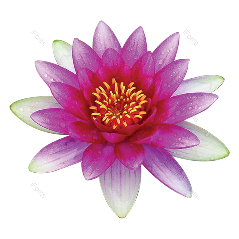 图片,元素,PNG,免抠素材